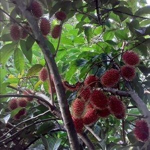 Meet your Posher, Tania